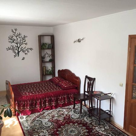 Guest House On Maksimova 9 アルマトイ エクステリア 写真