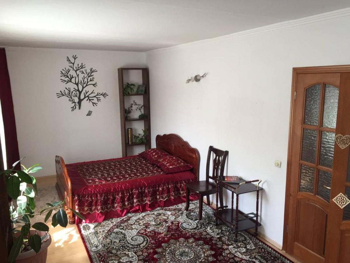 Guest House On Maksimova 9 アルマトイ エクステリア 写真