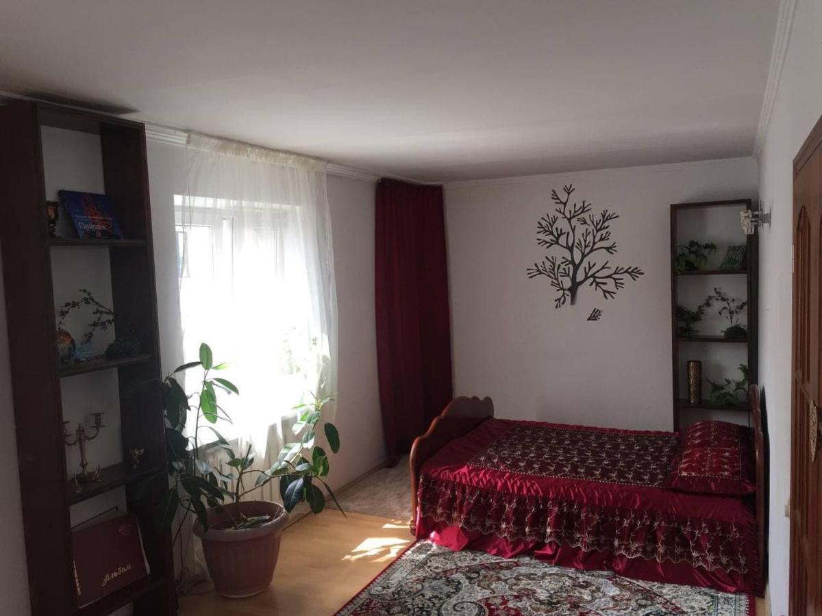 Guest House On Maksimova 9 アルマトイ エクステリア 写真