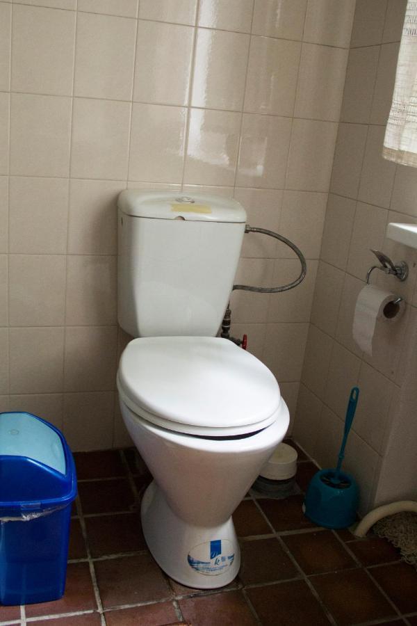 Guest House On Maksimova 9 アルマトイ エクステリア 写真