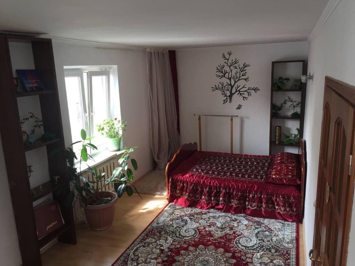 Guest House On Maksimova 9 アルマトイ エクステリア 写真